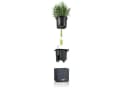 none Bild 4
