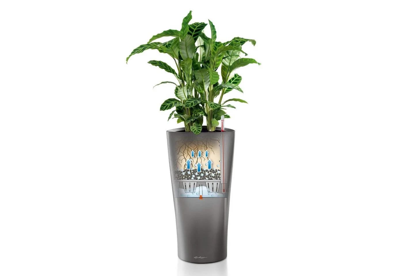 Lechuza® Pflanzsäule Delta 30 weiß hochglanz - Bild 5