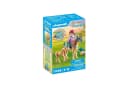 Playmobil 71498 Kind mit Pony und Fohlen Konstruktions-Spielset Bild 2
