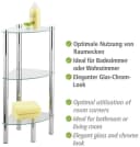 WENKO Eckregal Yago 1 Ablage Silber Transparent Glas Edelstahl Bild 1