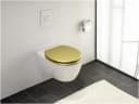 WENKO WC-Sitz Aldeno Gold Matt Oval MDF Edelstahl Bild 1