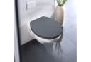 WENKO WC-Sitz Ostuni Grau bruchstabiler Toilettensitz mit Absenkautomatik Bild 1