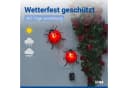 LED Gartenleuchte MAXIMEX Marienkäfer Solarleuchte Rot Bild 3