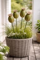 finehomegarden Dekofigur Mohnkapsel Keramik Grün 2er Set Bild 3
