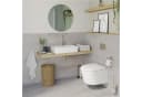 Lenz Toilettenpapierhalter NOA Nickel Bild 1