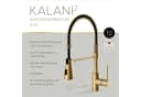 Lenz Küchenarmatur KALANI² Nickelfrei Gold Bild 3