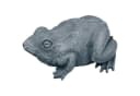 Oase Wasserspeier Frosch Polyresin 250x190x100mm Bild 2