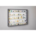 Inter Link Sammlervitrine Collecty Grau/Weiss Glaswandvitrine Bild 1