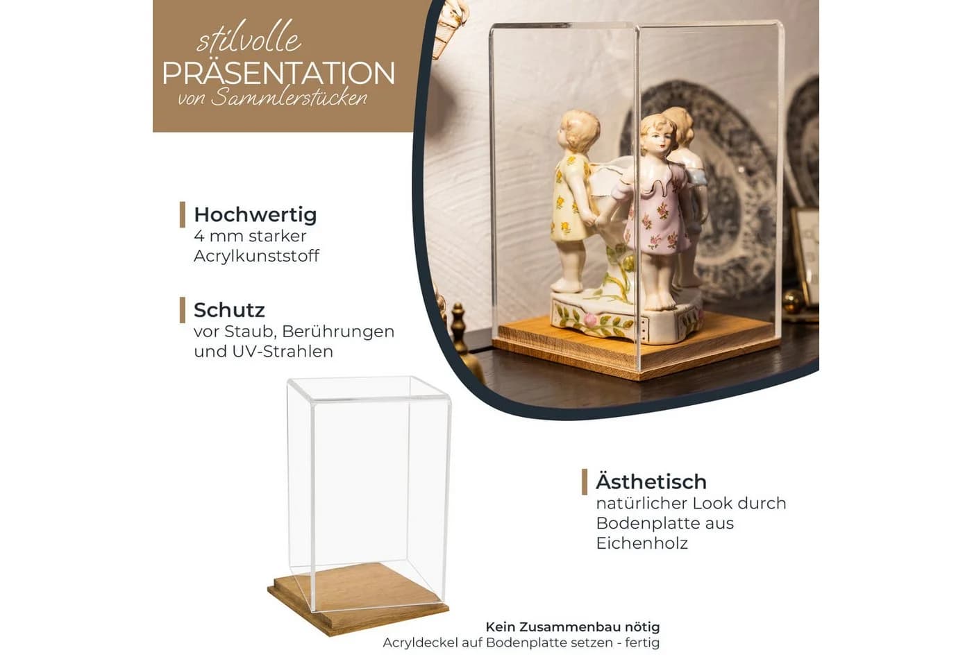 HMF Acryl Vitrine Transparent mit Eichenholzsockel