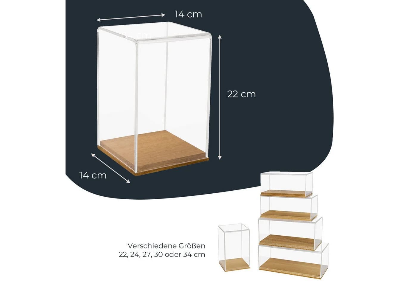 HMF Acryl Vitrine Transparent mit Eichenholzsockel - Bild 5