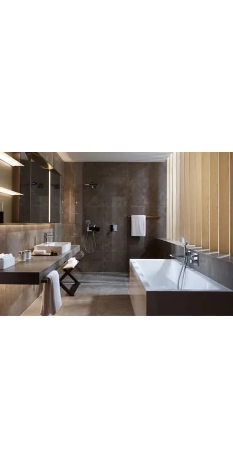 hansgrohe Raindance Select Handbrause 26531000 Chrom EcoSmart 12 cm