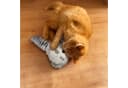 Aumüller Katzenspielkissen Waschbär Wolle Grau mit Baldrian Bild 1