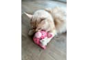 Aumüller Katzenspielkissen Schweinchen Peggy mit Baldrian rosa Bild 3