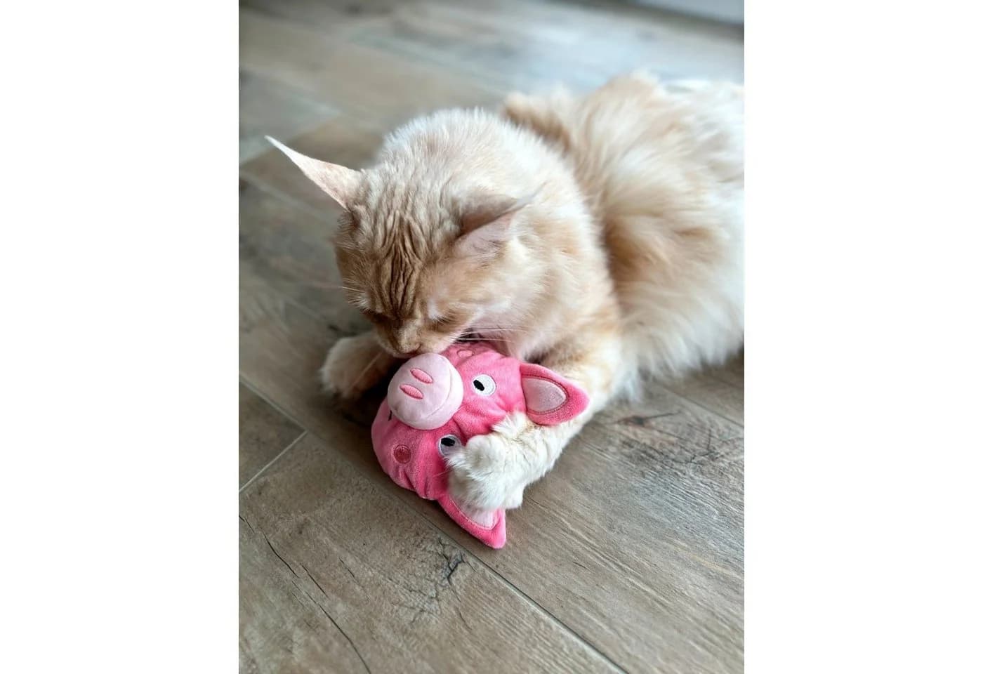 Aumüller Katzenspielkissen Schweinchen Peggy mit Baldrian rosa - Bild 3