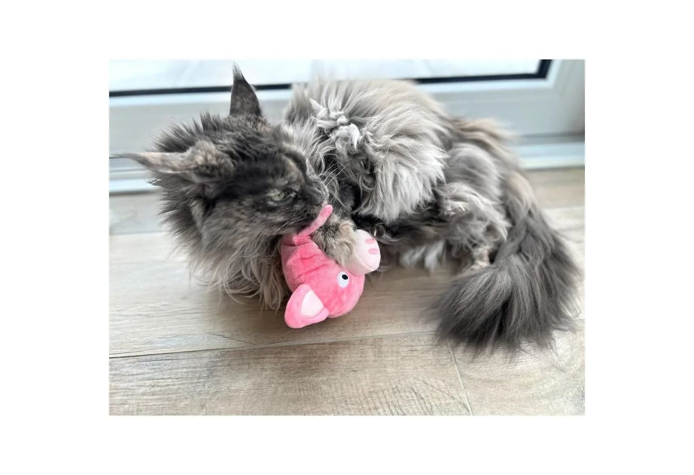 Aumüller Katzenspielkissen Schweinchen Peggy mit Baldrian rosa - Bild 4