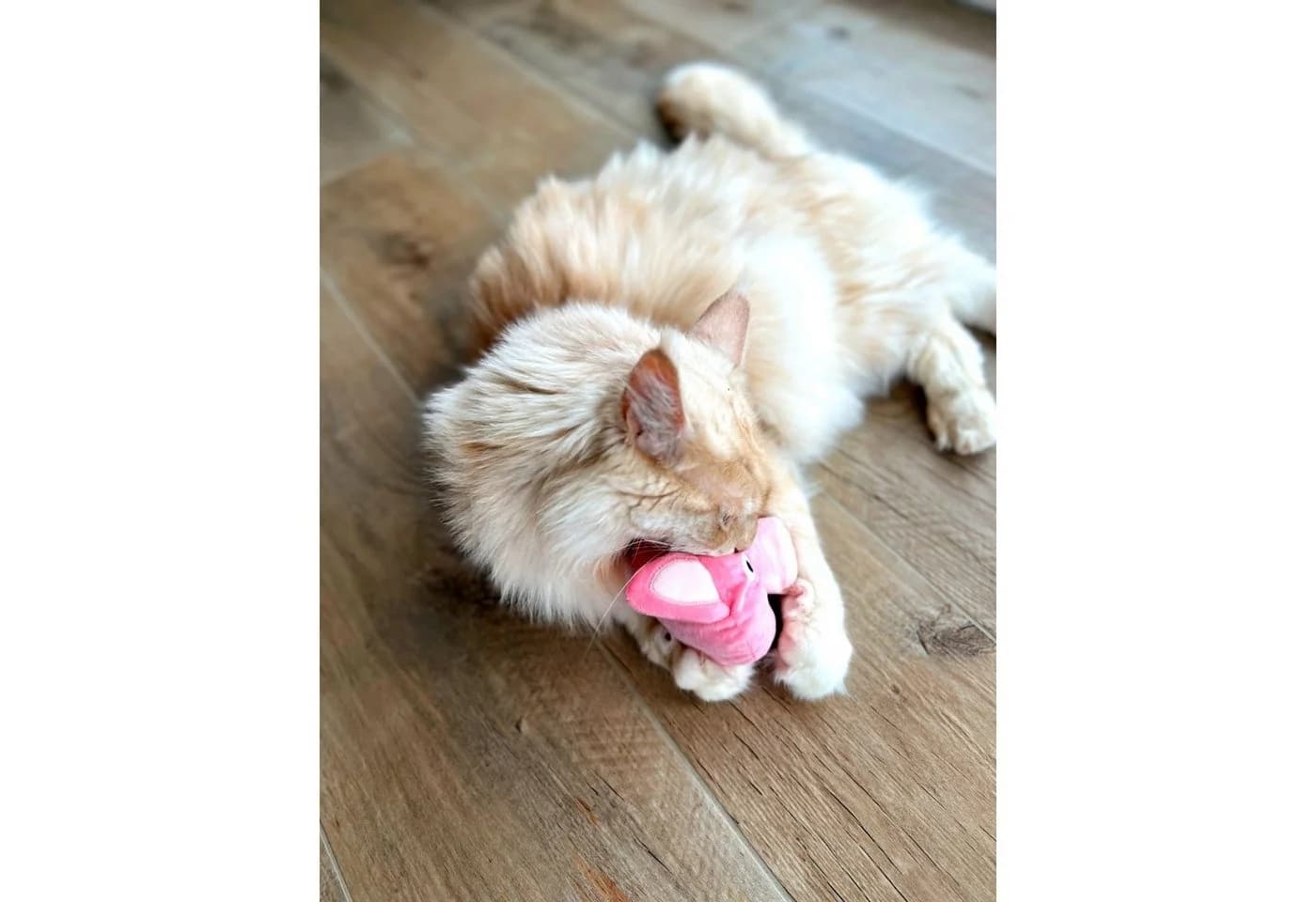 Aumüller Katzenspielkissen Schweinchen Peggy mit Baldrian rosa - Bild 5