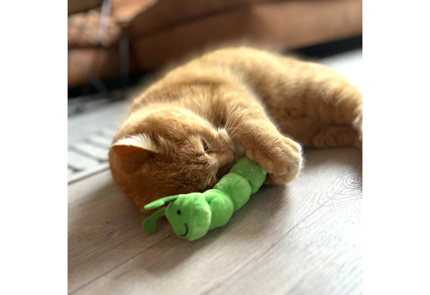 Aumüller Katzenspielzeug Raupe Pedro Plüschtier mit Katzenminze
