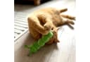 Aumüller Katzenspielzeug Raupe Pedro Plüschtier mit Katzenminze Bild 3