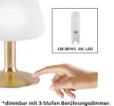 PAUL NEUHAUS LED Tischleuchte Till Grau Touchdimmer Bild 3