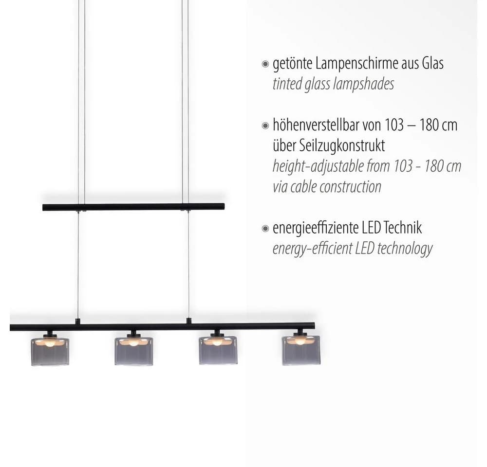 Paul Neuhaus LED Pendelleuchte HYDRA Schwarz Höhenverstellbar - Bild 3