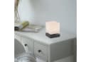 Paul Neuhaus Tischleuchte DADOA Grau Anthrazit LED Dimmbar Bild 1
