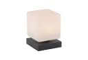 Paul Neuhaus Tischleuchte DADOA Grau Anthrazit LED Dimmbar Bild 2