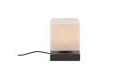Paul Neuhaus Tischleuchte DADOA Grau Anthrazit LED Dimmbar Bild 3