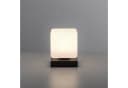 Paul Neuhaus Tischleuchte DADOA Grau Anthrazit LED Dimmbar Bild 4