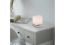 Paul Neuhaus Tischleuchte DADOA Grau LED Touchdimmer Bild 1