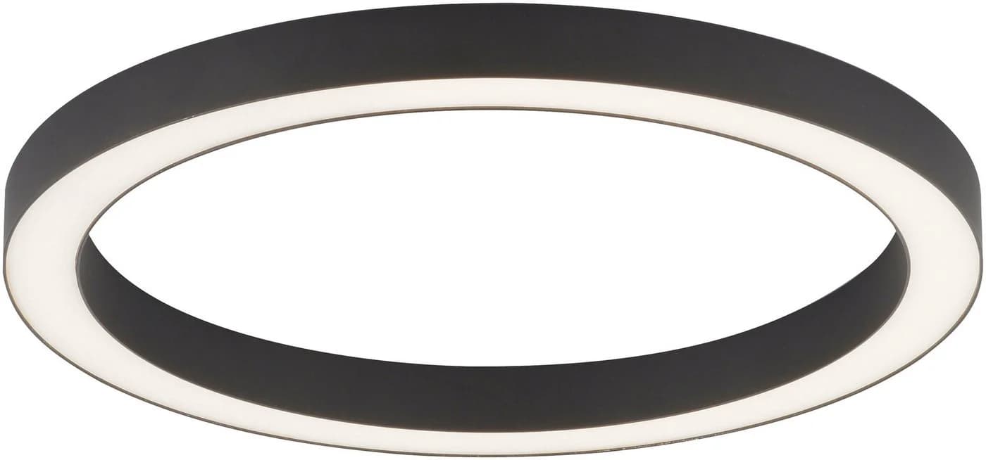 Paul Neuhaus LED Deckenleuchte PURE Lines Round Anthrazit - Bild 2