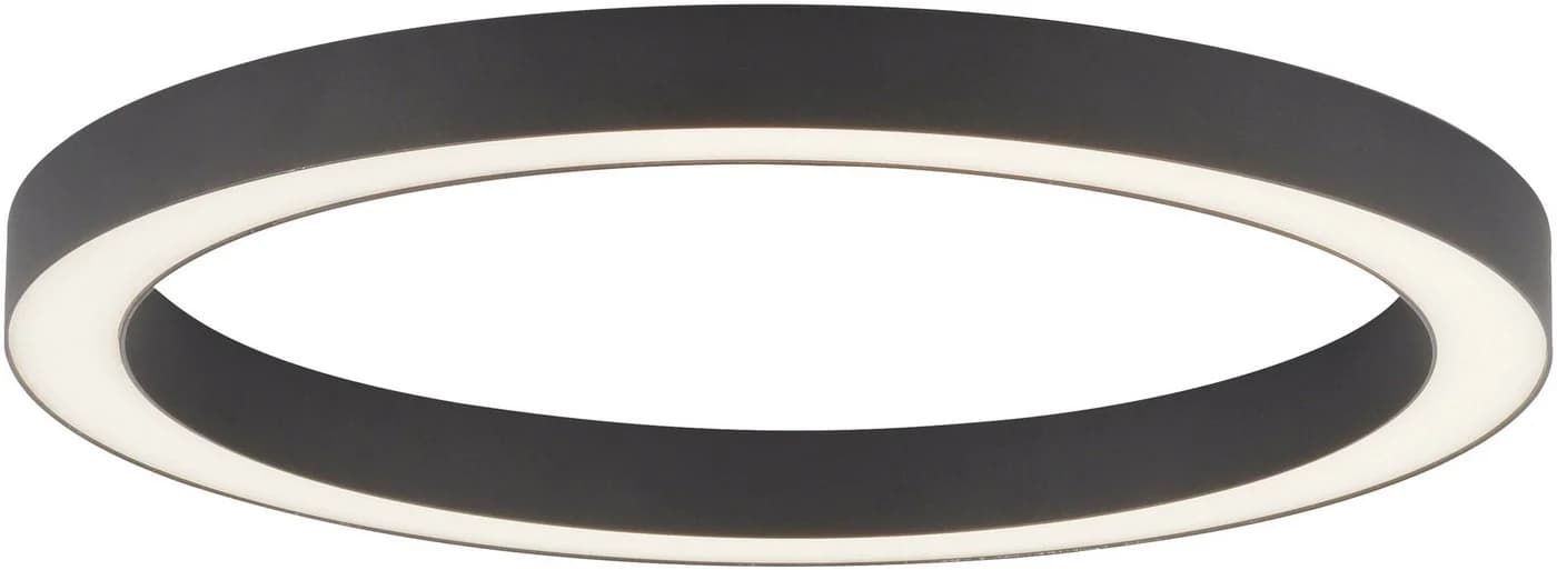 Paul Neuhaus LED Deckenleuchte PURE Lines Round Anthrazit - Bild 4
