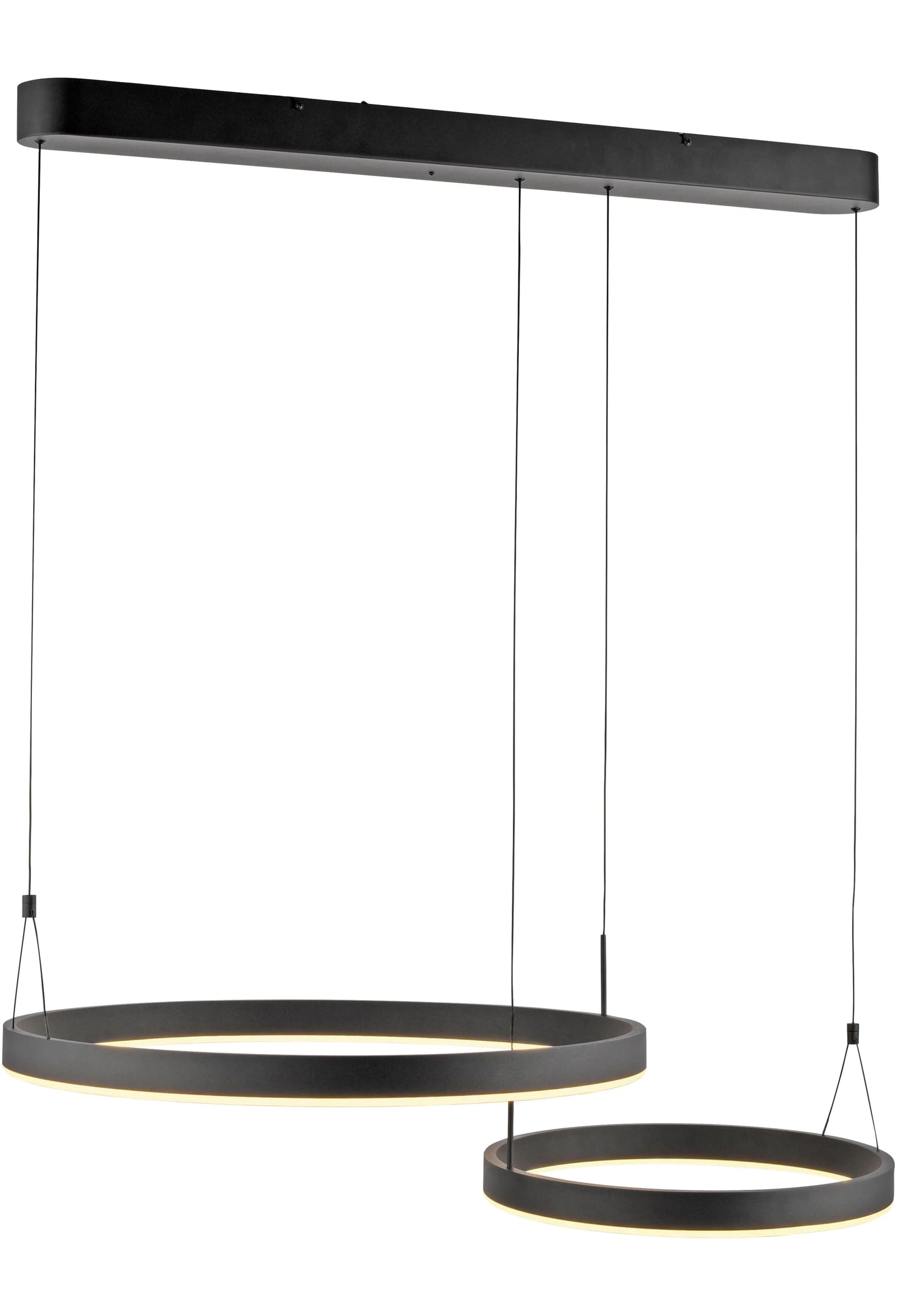 PAUL NEUHAUS Pendelleuchte ESKO Schwarz LED CCT Dimmbar