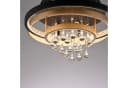 PAUL NEUHAUS Deckenleuchte ROTAZO Schwarz Messing LED dimmbar Switchmo Bild 4