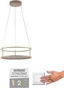 Paul Neuhaus LED-Hängelampe Contura Sandfarben 50 cm Bild 3