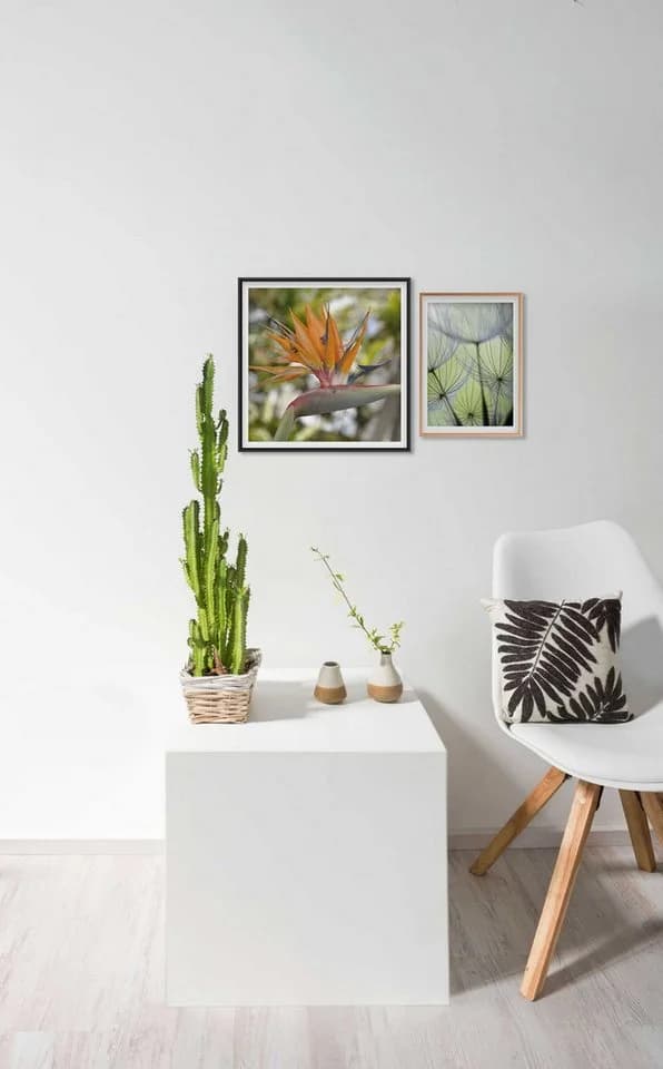 accent by nielsen Bilderrahmen Aluminium Silber Modernes Design - Bild 3