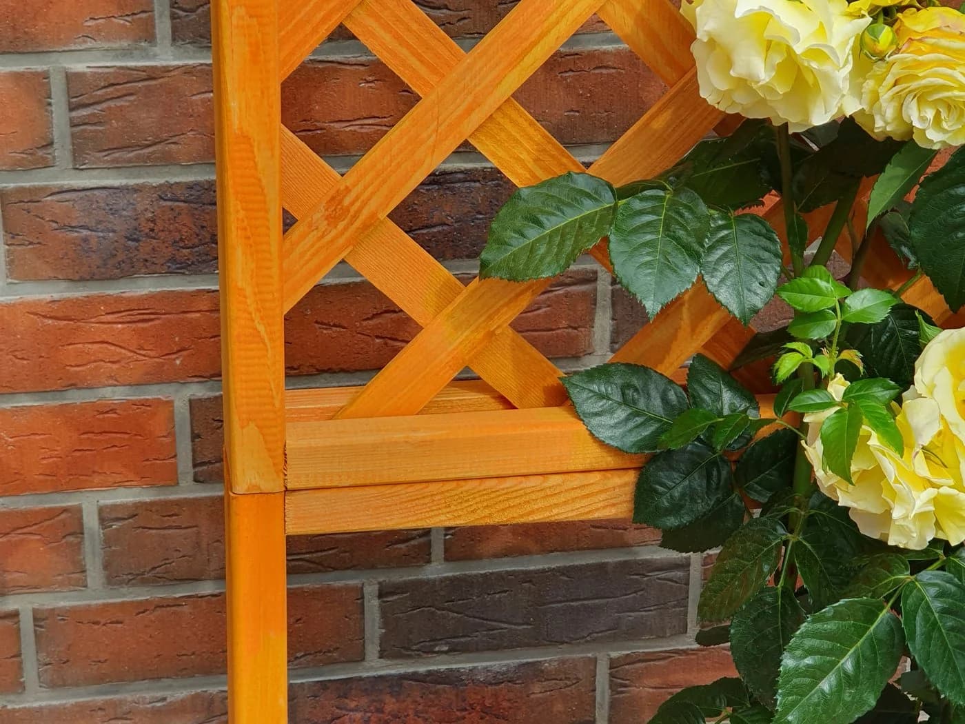 Promadino Spalier Romantica Honigbraun mit Pflanzkasten