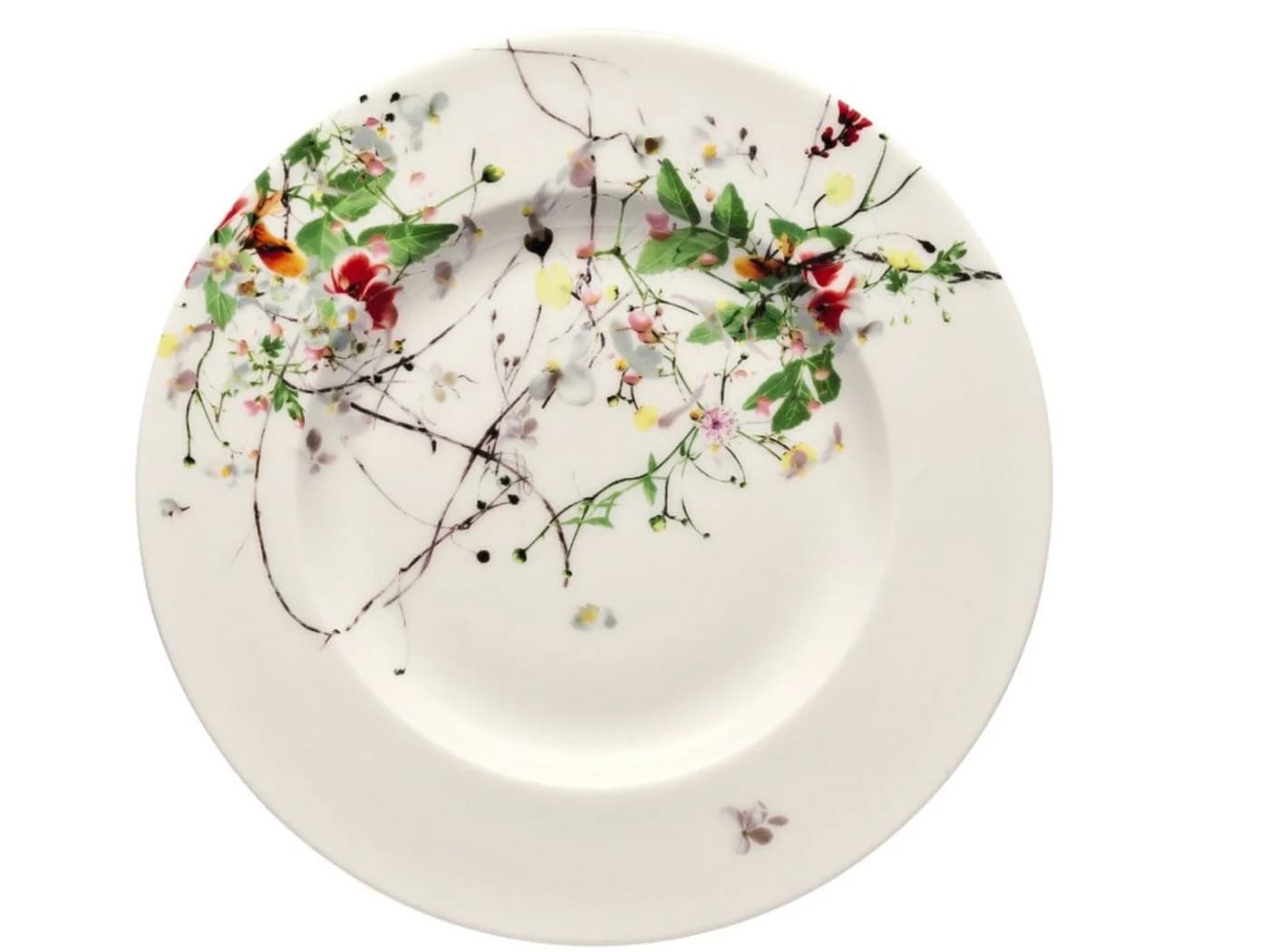 Rosenthal Frühstücksteller Brillance Fleurs Sauvages 19 cm Bone China