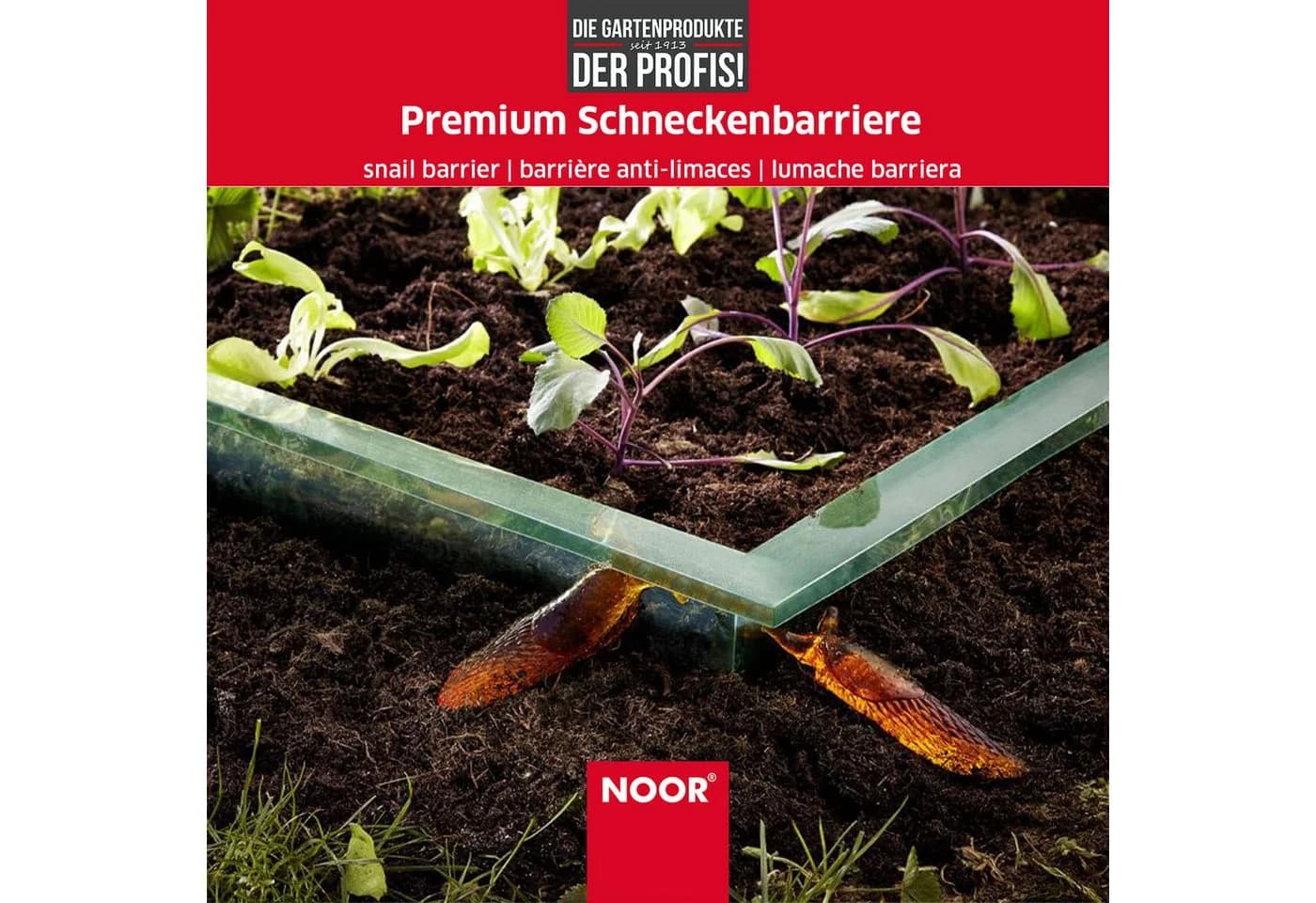 NOOR Schneckenzaun Premium Schneckenbarriere Grün mit Doppelfalz - Bild 5