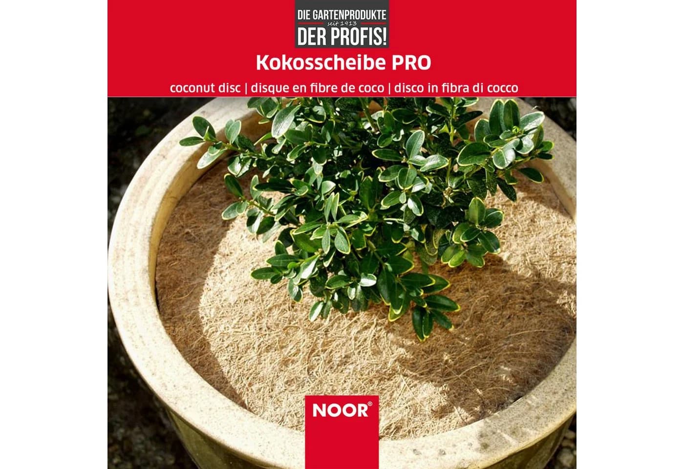 NOOR Kokosscheibe PRO Beige Winterschutz für Kübelpflanzen