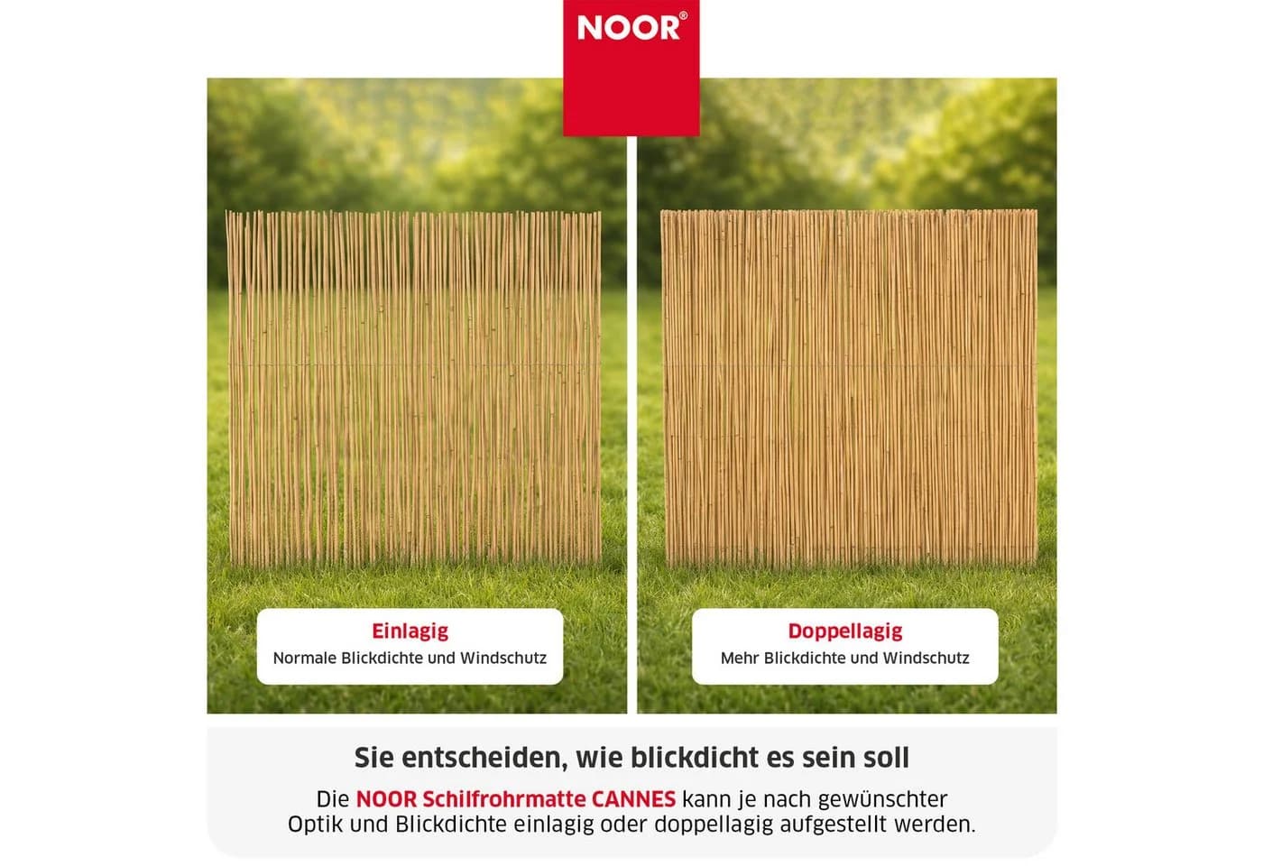 NOOR Schilfrohrmatte CANNES Sichtschutz mit Nylonbindung - Bild 4