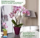 Heimwerkercenter Übertopf Pia Paloni Orchidee Keramik Pflaume Bild 3