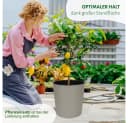 Heimwerkercenter Übertopf MePla Malwa Strip ECO 19cm Creme Bild 5