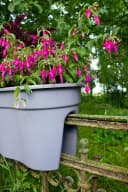 KHW Flowerclip XXL Balkonkasten 2er Set Wetterfest Kunststoff Bild 3