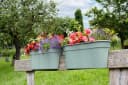 KHW Flowerclip XXL Balkonkasten Set 2-tlg. Grün Kunststoff Bild 2