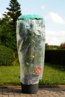 KHW Pflanzhilfe Tomatenhut 2er Set mit Schutzfolie Bild 2