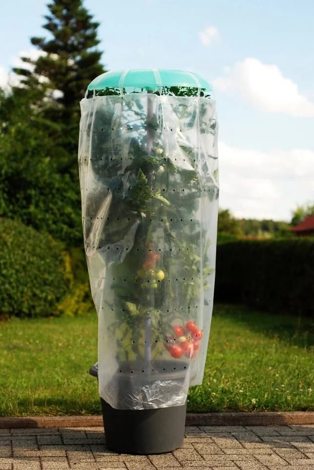 KHW Pflanzhilfe Tomatenhut 2er Set mit Schutzfolie - Bild 2
