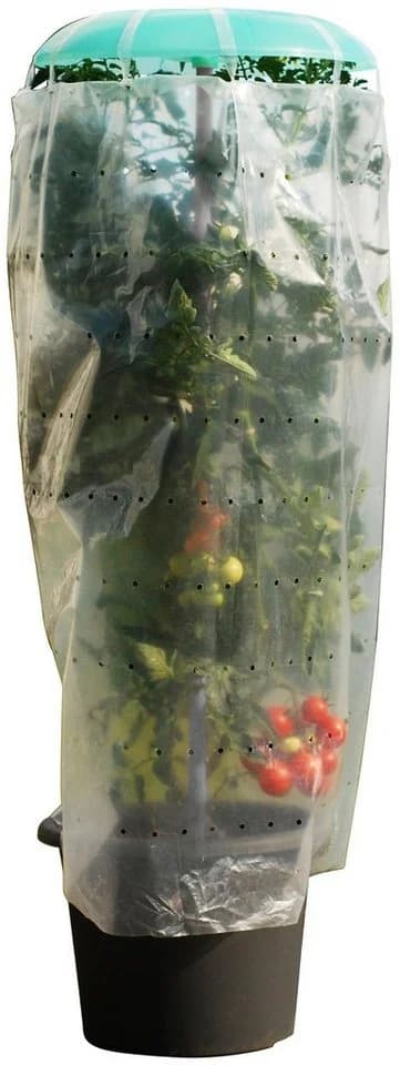 KHW Pflanzhilfe Tomatenhut 2er Set mit Schutzfolie - Bild 4