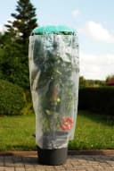 KHW Pflanzhilfe Tomatenhut 3er Set mit Schutzfolie Bild 5