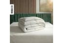 RIBECO Federbettdecke Laram 90% Federn 10% Daunen Baumwolle Bild 1