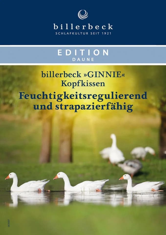billerbeck Gänsefederkopfkissen Ginnie 15 Allergikerfreundlich 85% Feder 15% Daune - Bild 4